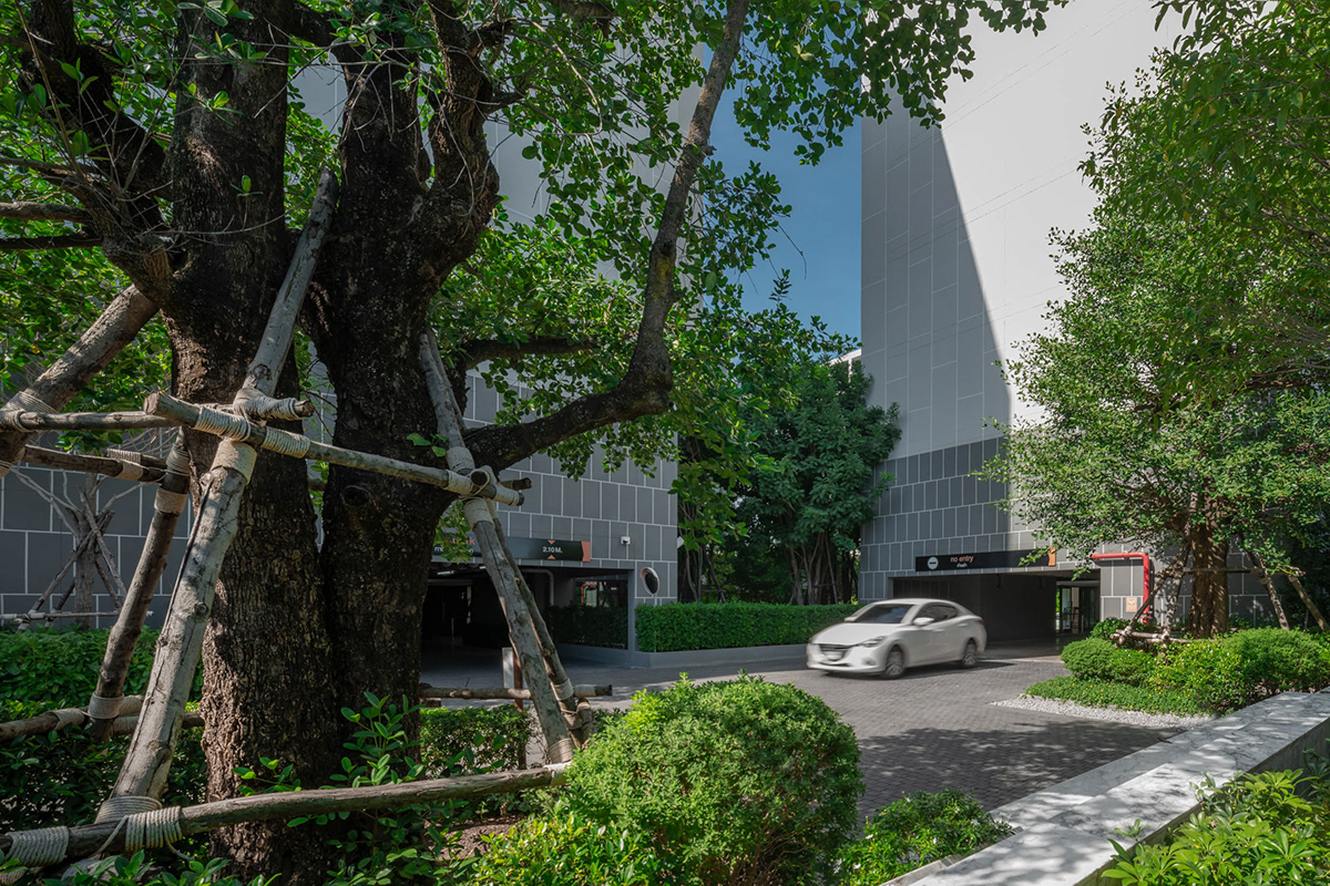 都喜 D2 公寓景观丨泰国丨TROP + Junsekino-20