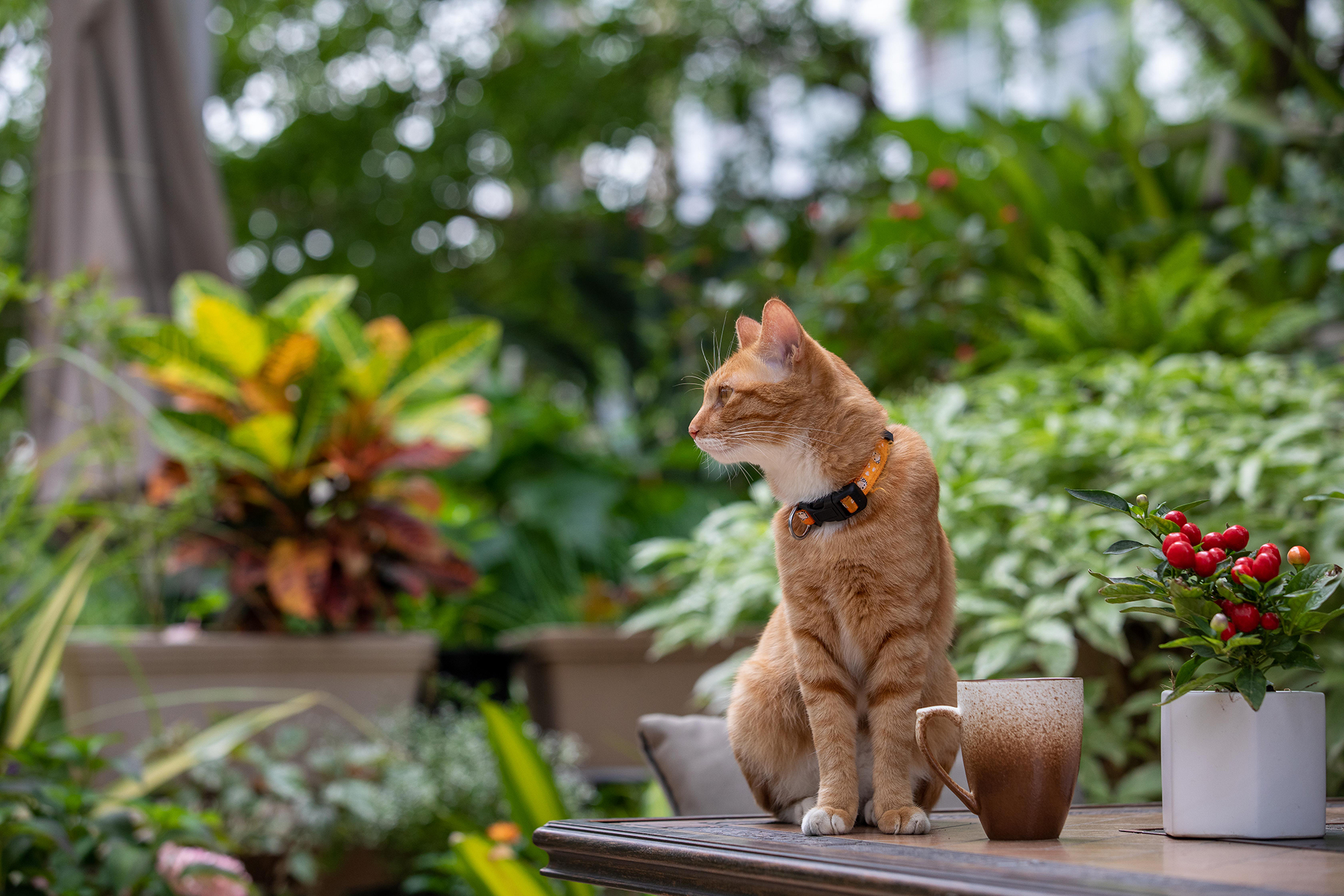 深圳南海意库5号楼屋顶花园-7