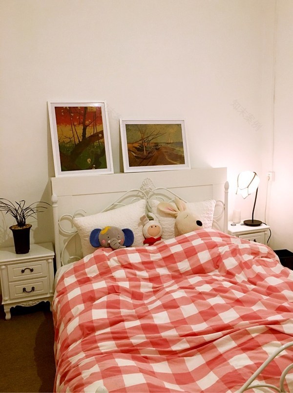 花最少的钱提升出租屋的逼格-24