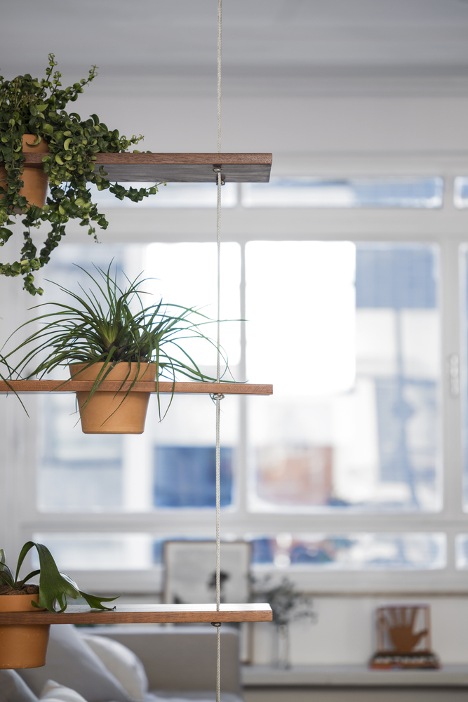 历史与现实融合的巴西 Vila Buarque 公寓翻新丨巴西圣保罗丨Mana arquitetura-39