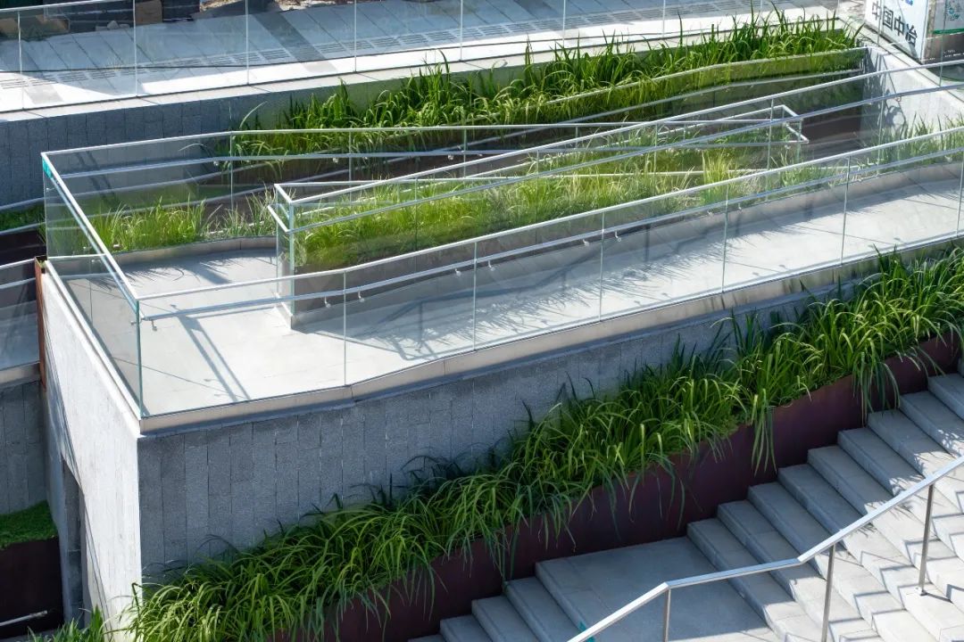 绿色智慧生活样本 | 乡愁记忆的新区实验区-35