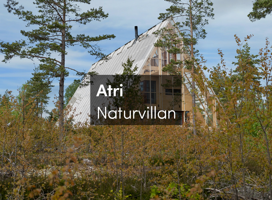 丨尼日利亚丨NLÉ-50