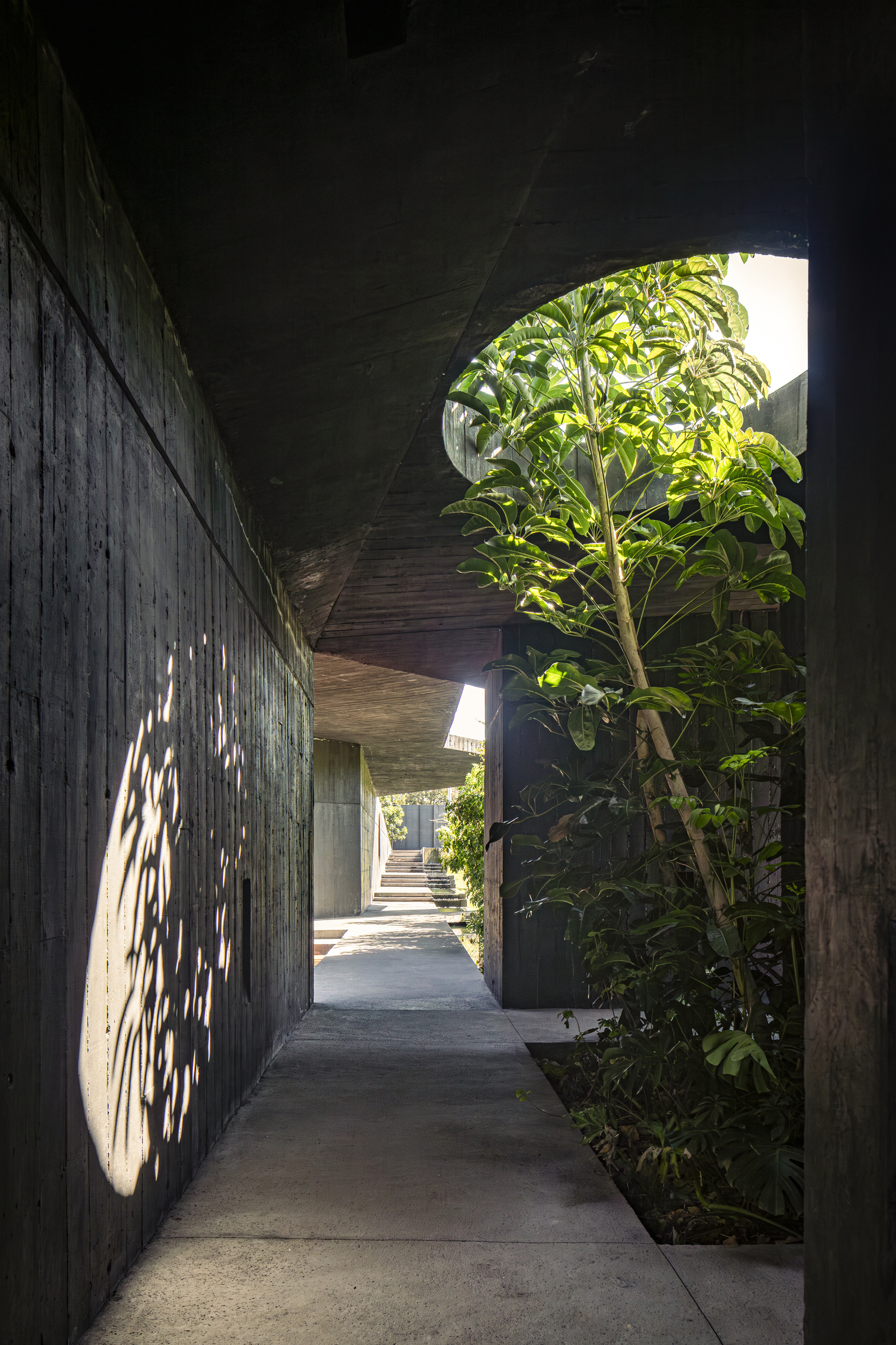 玛夫拉之家丨墨西哥-22