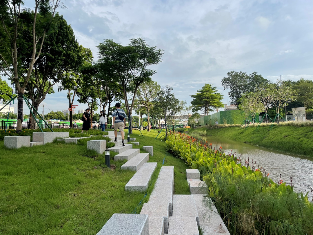 重生之河 | 广州大坦沙岛“蓝色命脉”的生态复兴-91