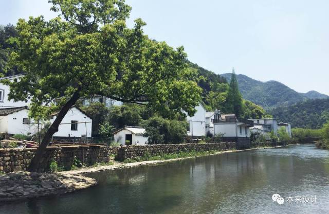 浙江皂溪村 | 景观改造焕新颜-23