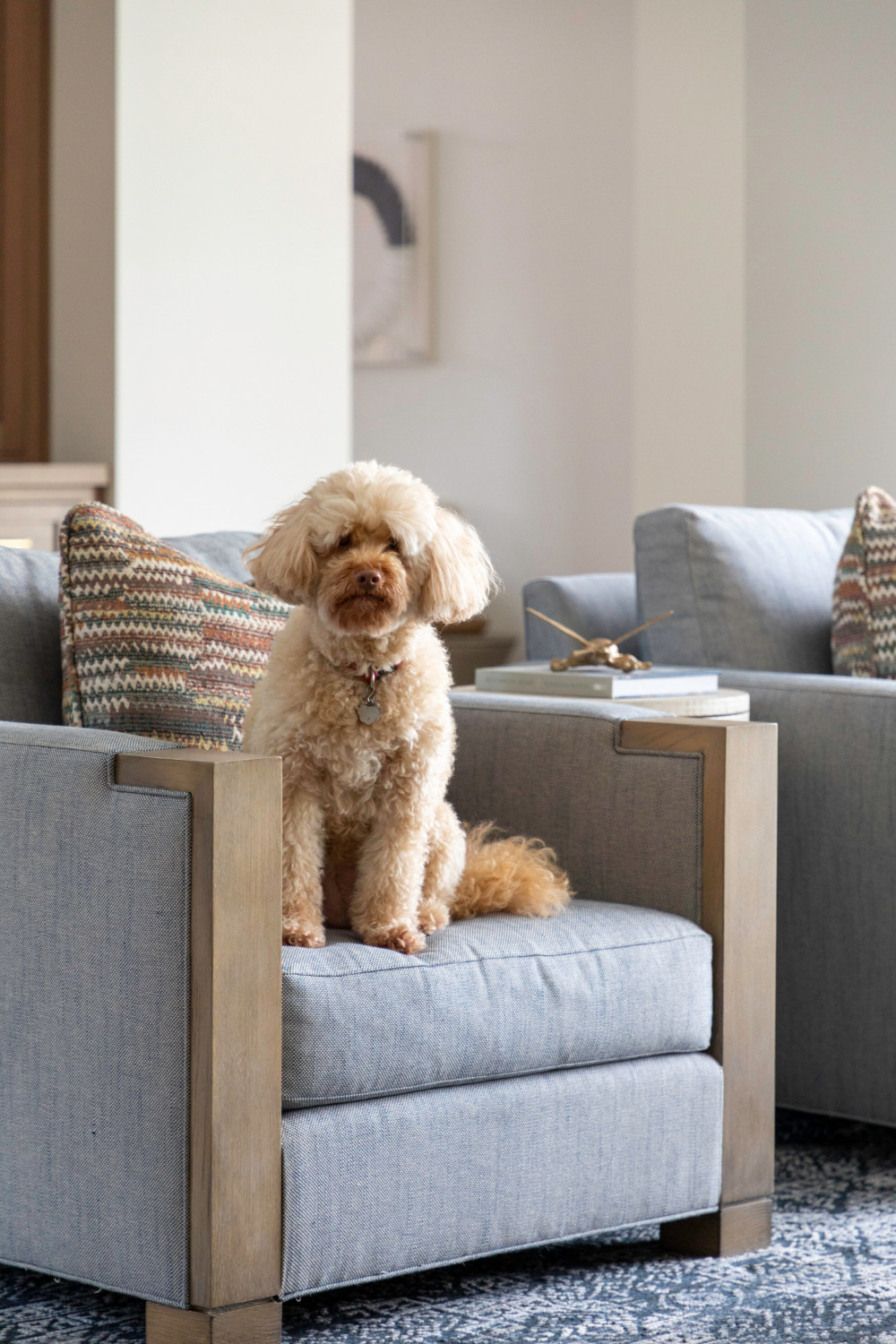 美国内华达州美式风格住宅|Ashley Martin设计-38