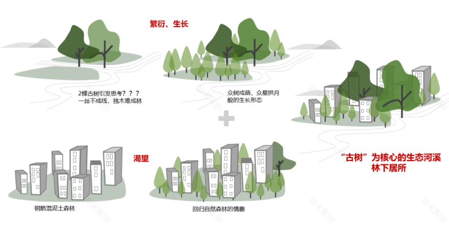 温州龙湖·天钜 · 城市绿洲中的古树生态河溪林下居所丨中国温州丨DAOYUAN | 道远设计-24