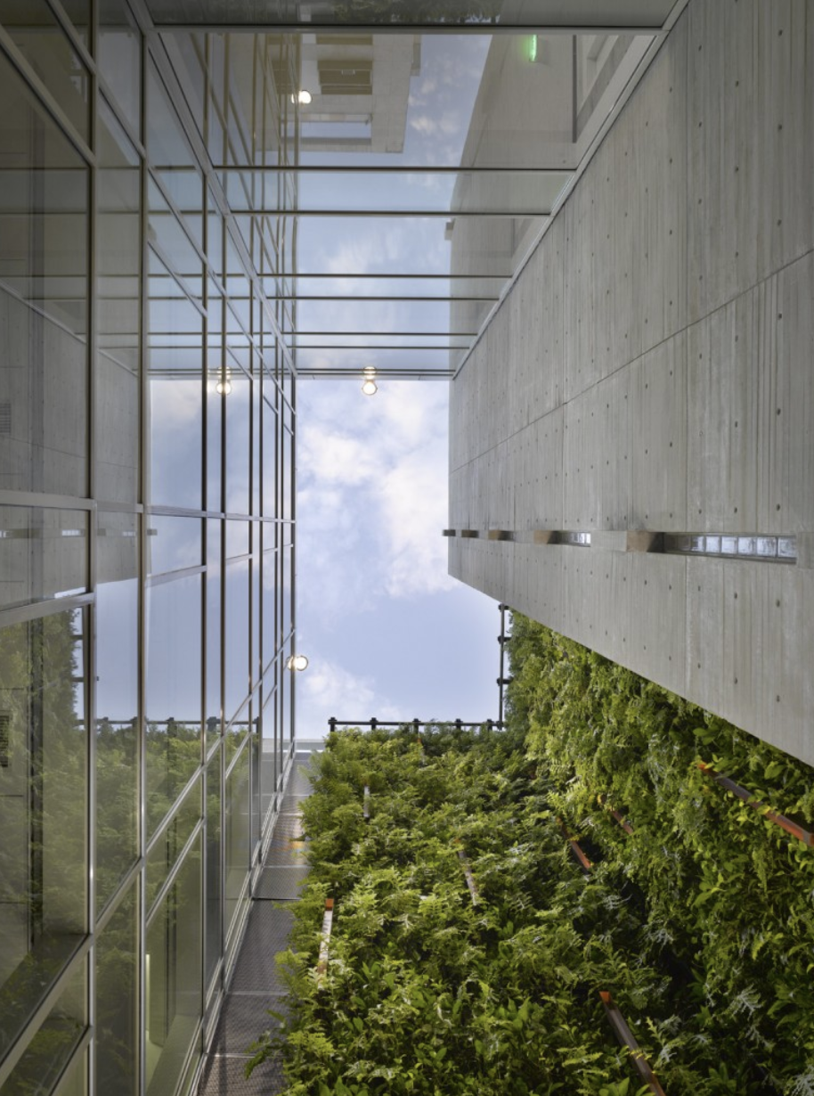 Leblon Offices  Richard Meier-19