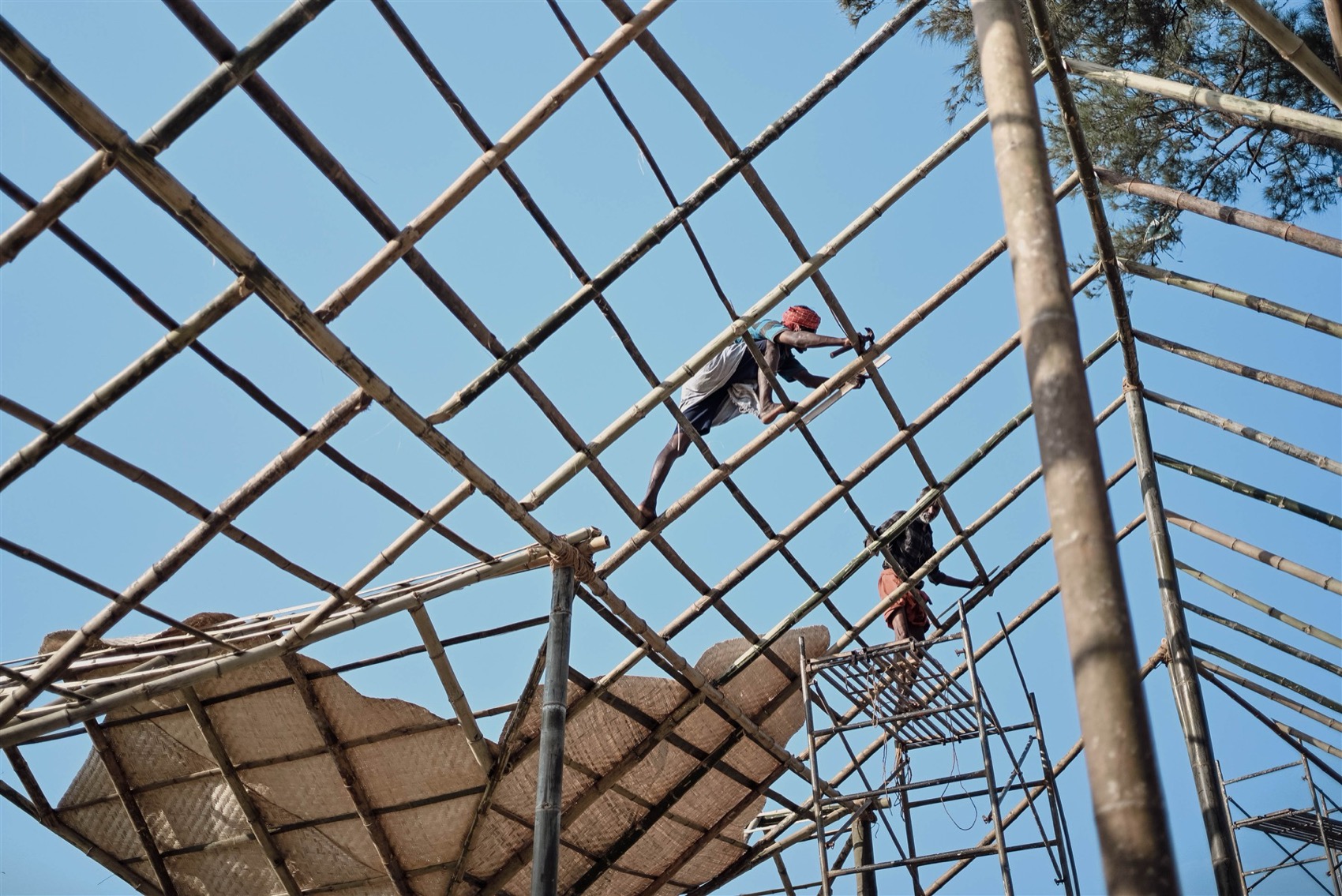 德国亭丨印度丨THE PURPLE INK STUDIO-35