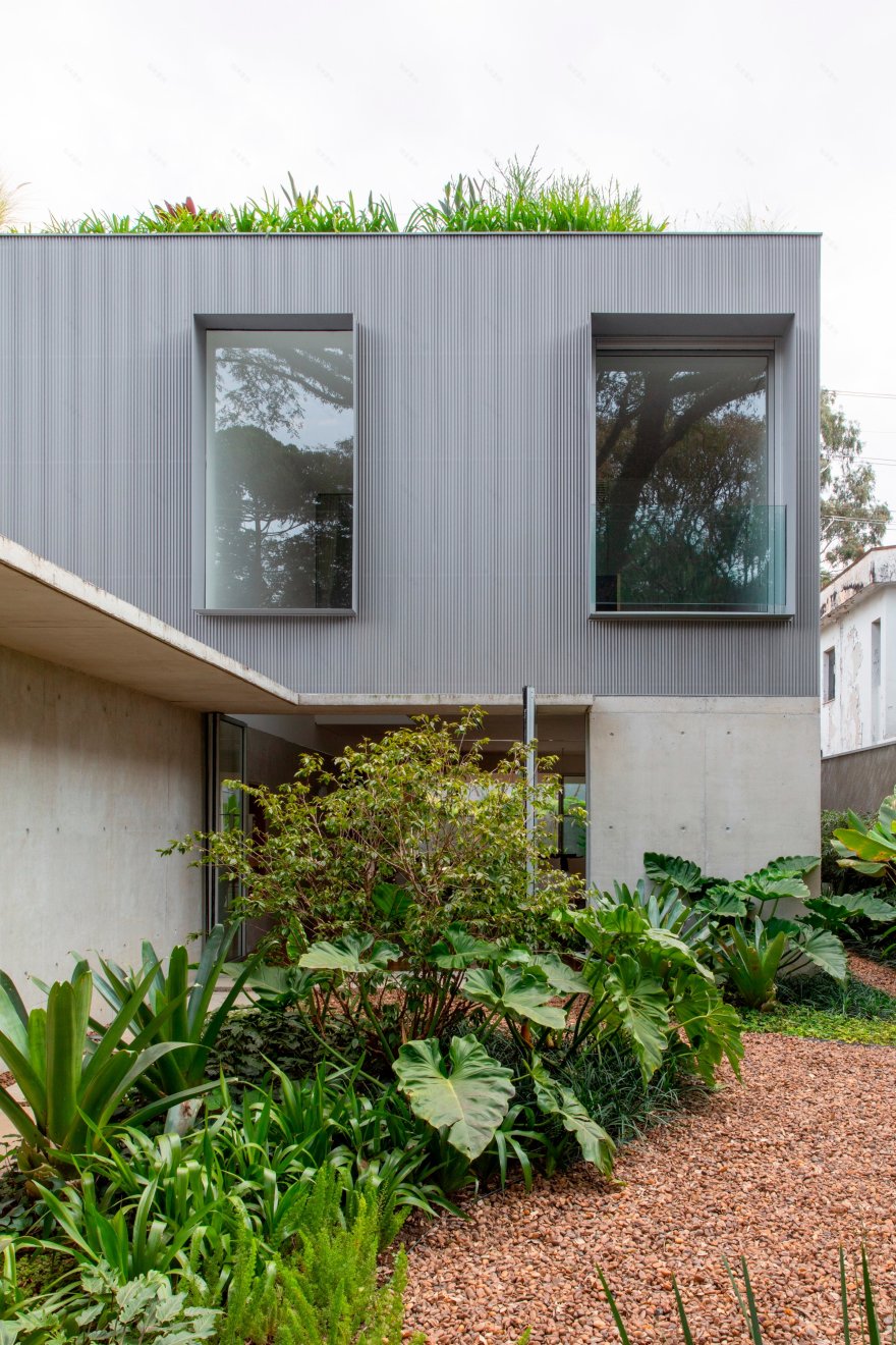 Casa B 住宅丨巴西圣保罗丨Acayaba + Rosenberg arquitetos-6