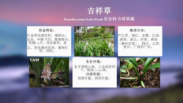 秋凌景观陪伴你学习的第3128天-56