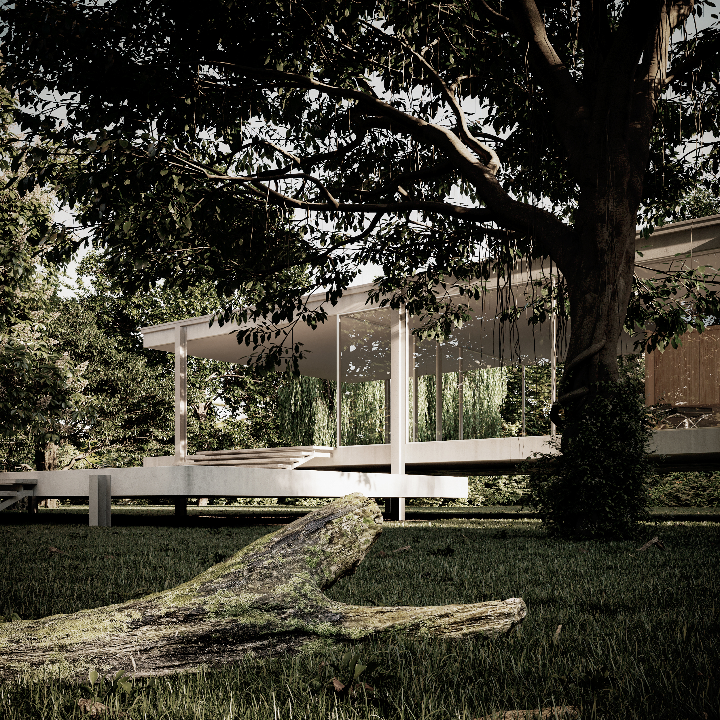 法恩斯沃思住宅丨Mies Van Der Hohe-13