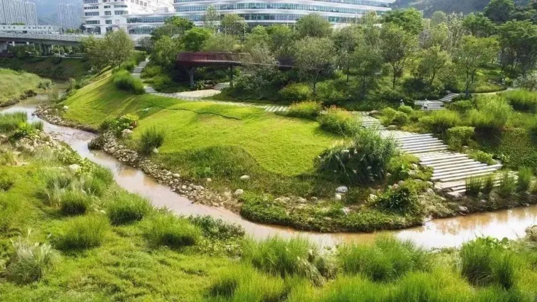 广州南岗河生态修复项目丨中国广州丨AECOM团队-10