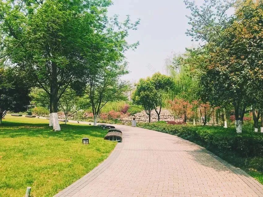 武汉园林景观盘点 | 美丽依旧,强势回归-19