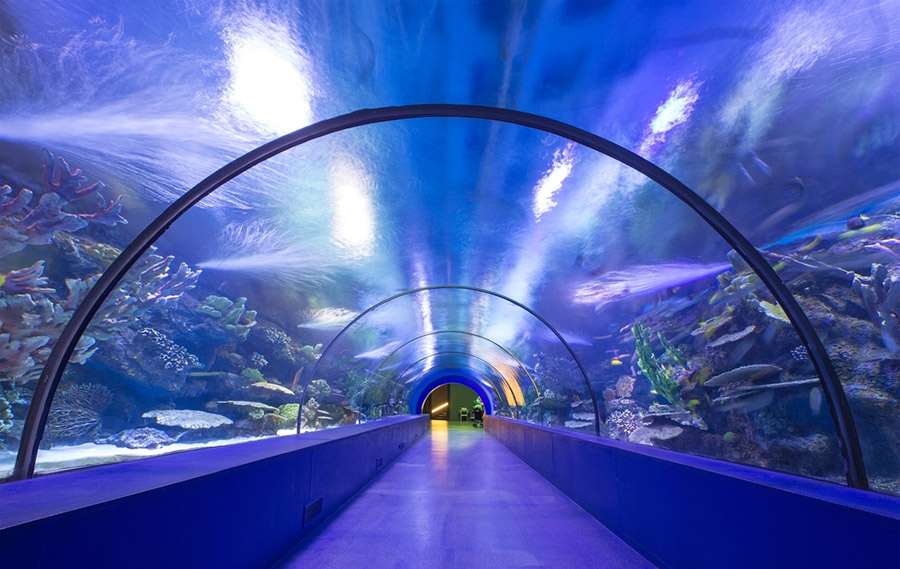 水族馆.海洋馆设计案例效果图                     -19