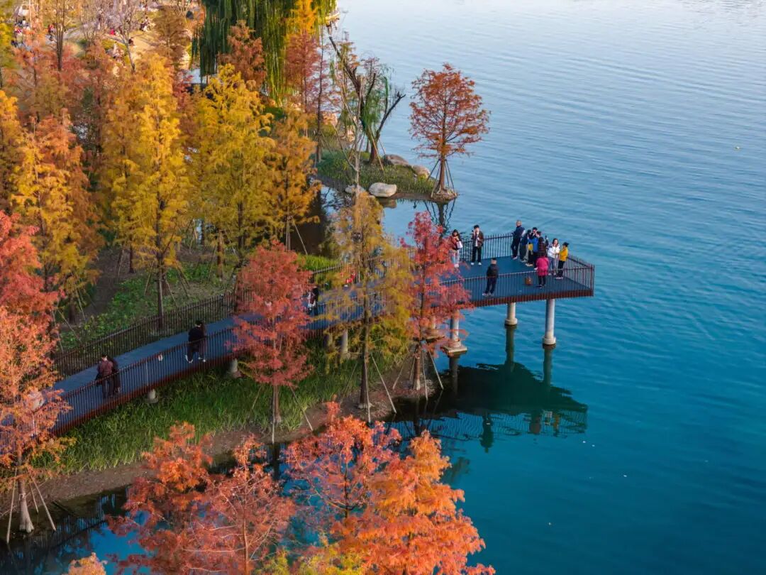 周末去哪玩?杭州新晋打卡地标来咯!-80