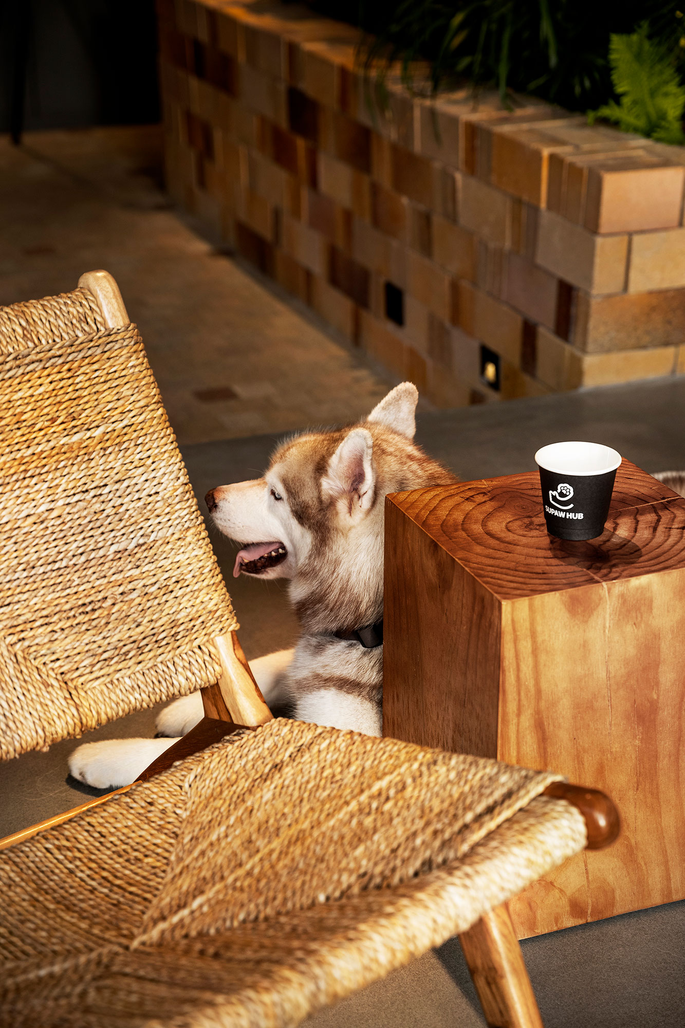 咖啡店丨中国深圳丨Pure & Wild Studio朴野设计-70