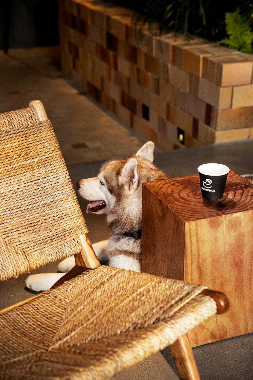 咖啡店丨中国深圳丨Pure & Wild Studio朴野设计-70