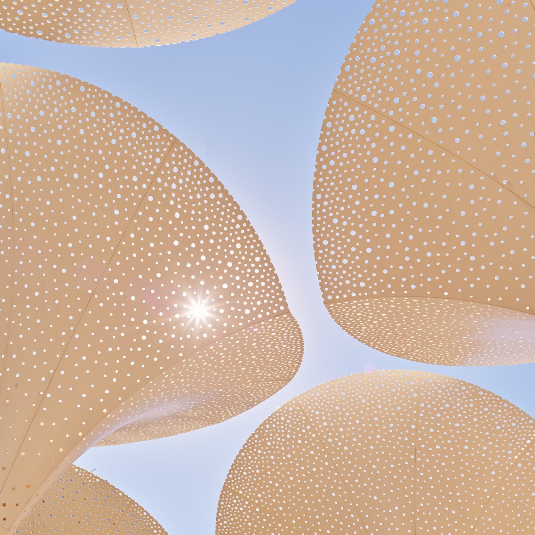 布兰顿艺术博物馆室外空间设计丨美国丨Snøhetta-21