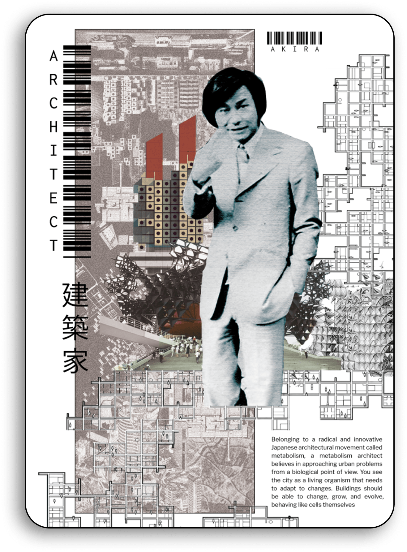 《阿基拉》：一款棋盘游戏-9