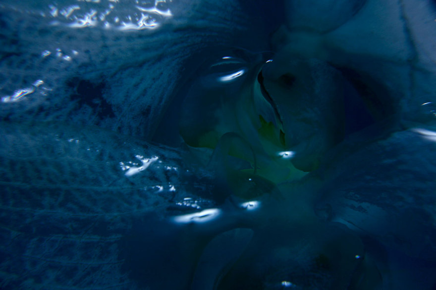 奇异梦境 | 摄影师 Namiko Kitaura 的艺术世界-61