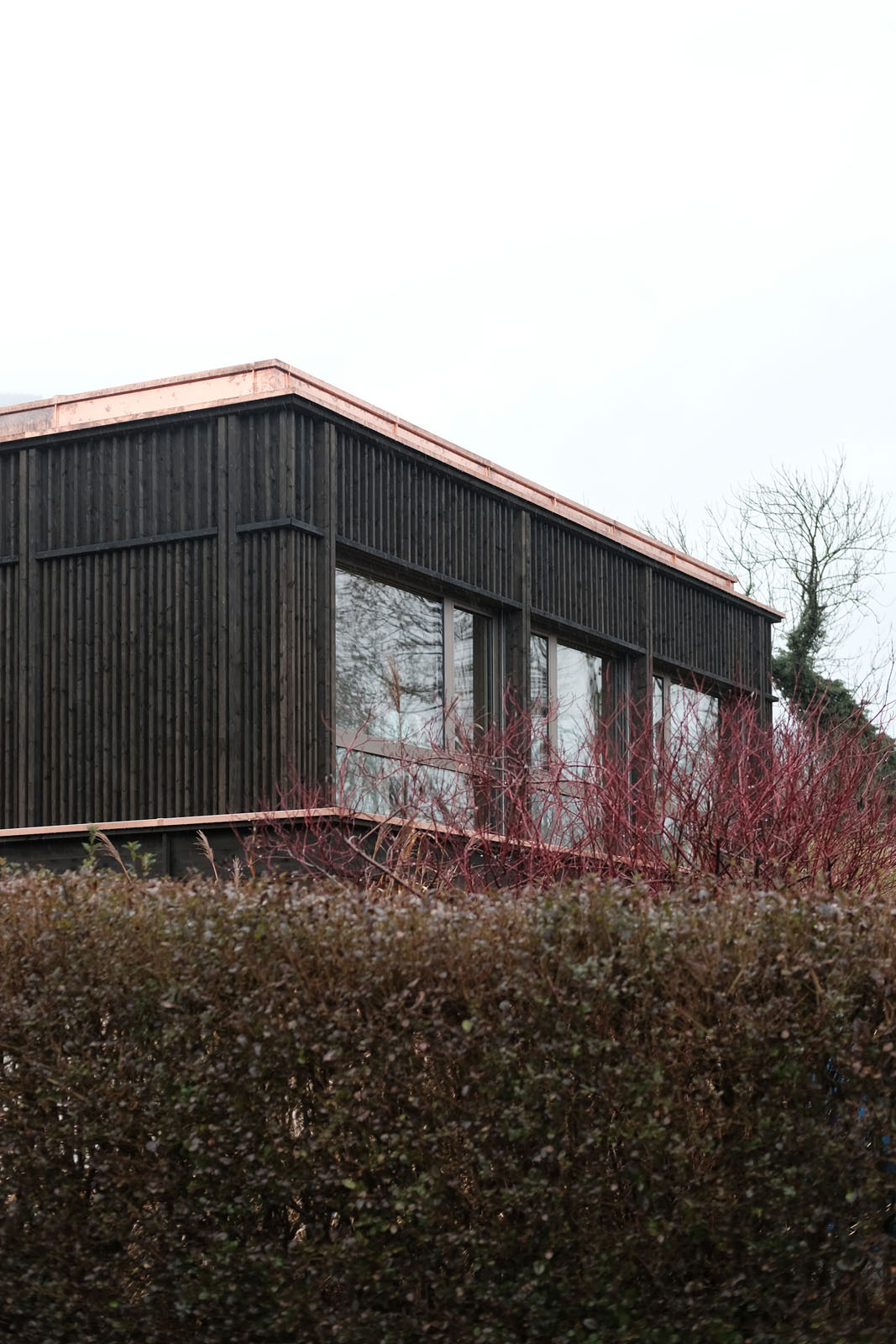 带有三个花园的房子丨Allen + Crippa-23