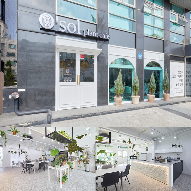 现代植物咖啡厅，30 平米空间里的绿色美学-1