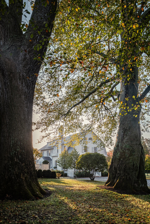 The White House（白宫住宅）丨美国纽约-10