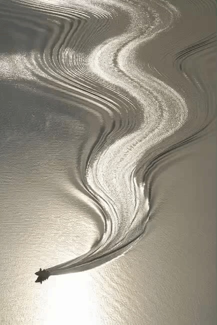 星月归湾 · 科技人文的栖居诗篇丨中国深圳丨Creativespace Design-2