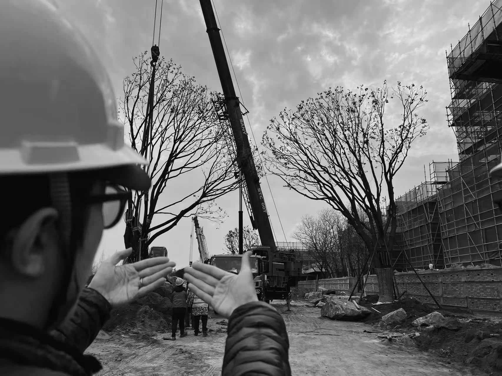 招商蛇口·南通和园丨中国南通丨上海日清景观设计有限公司等多家公司-15