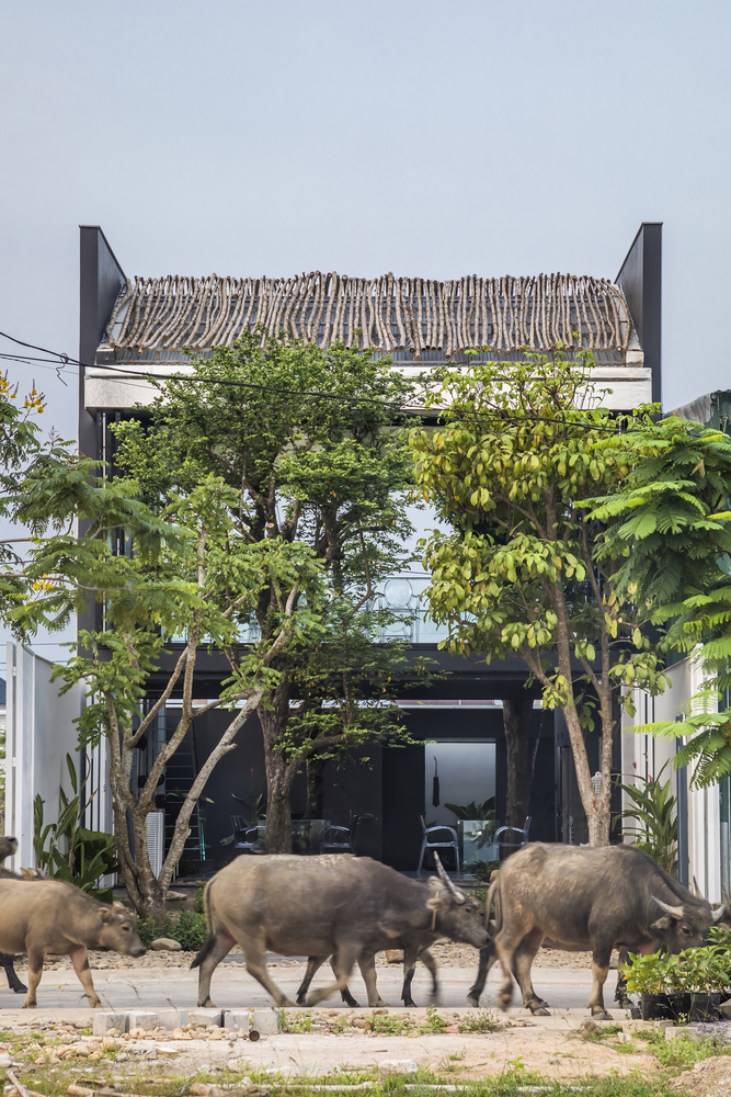 回归自然的 MW archstudio 办公空间-66