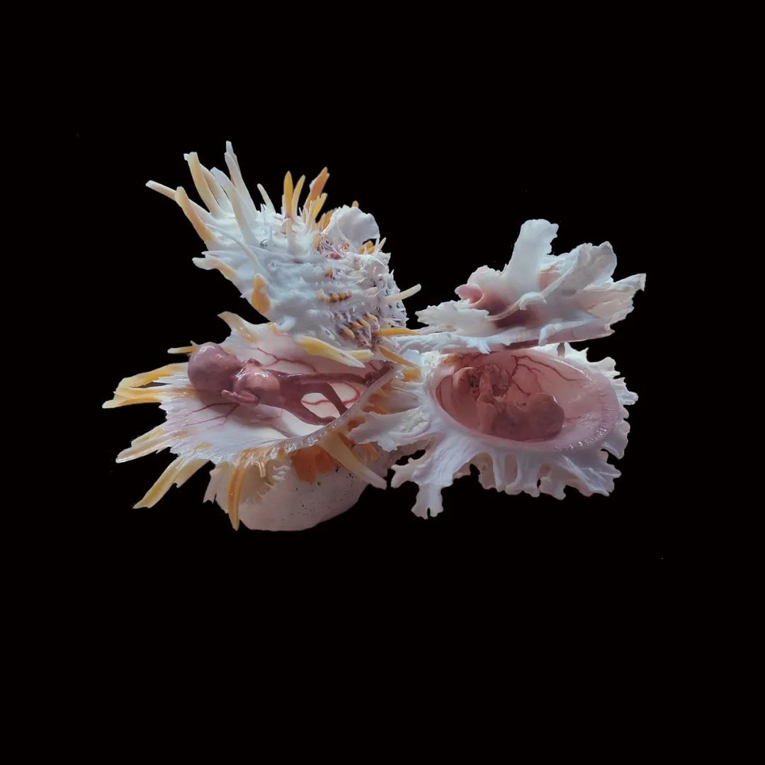 渡悦笙酒吧 | 小户型茶室设计典范-270