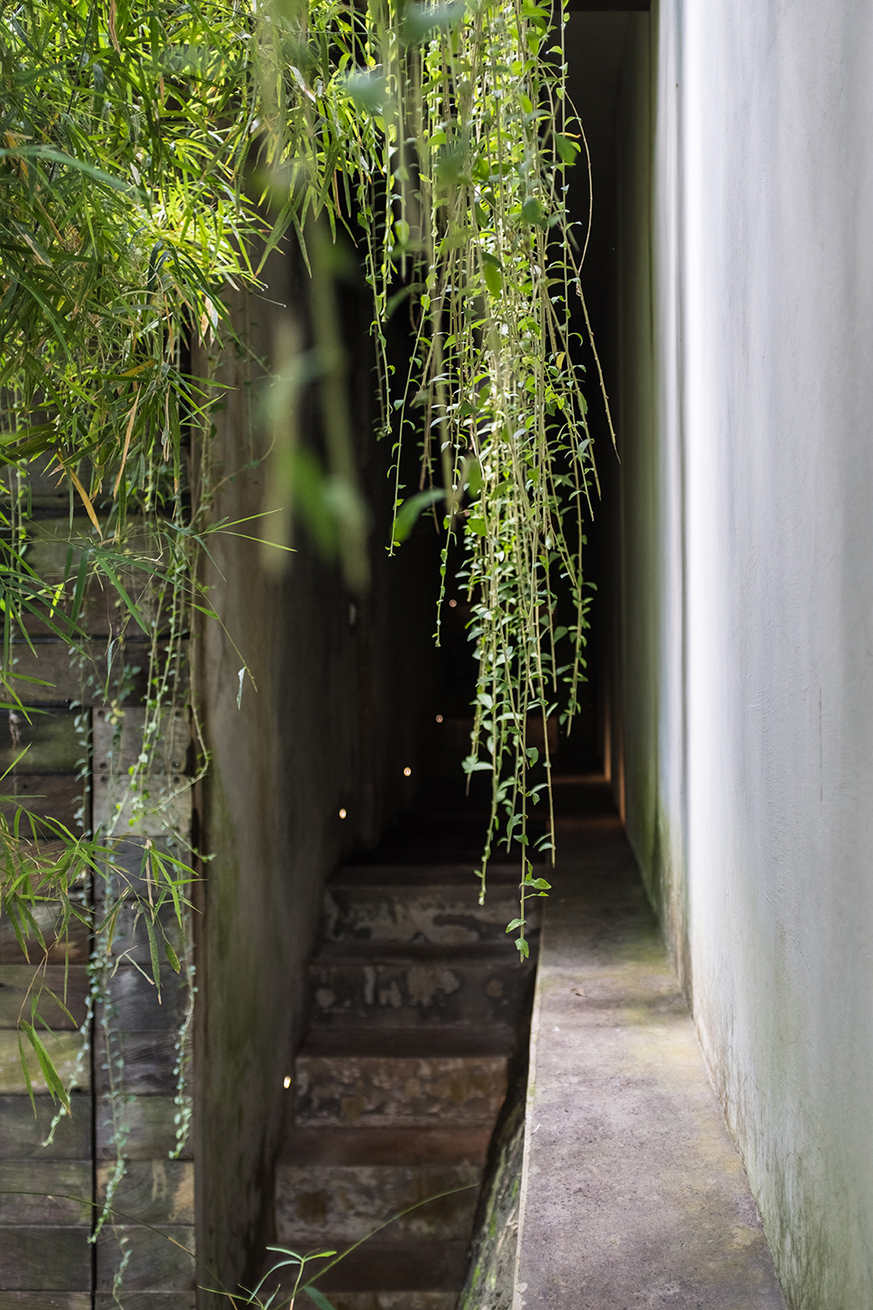 Chameleon别墅,巴厘岛 / Word of Mouth-81