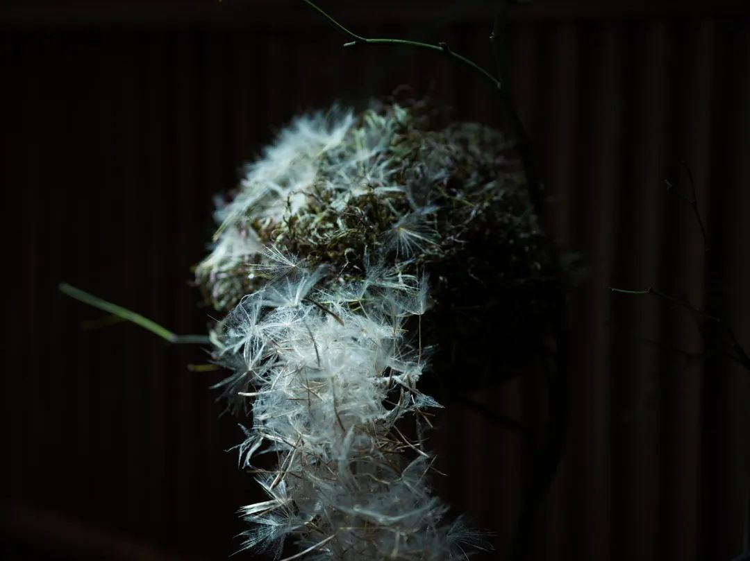 半木之家“伴夏集” | 唐七小姐的花植艺术装置-91
