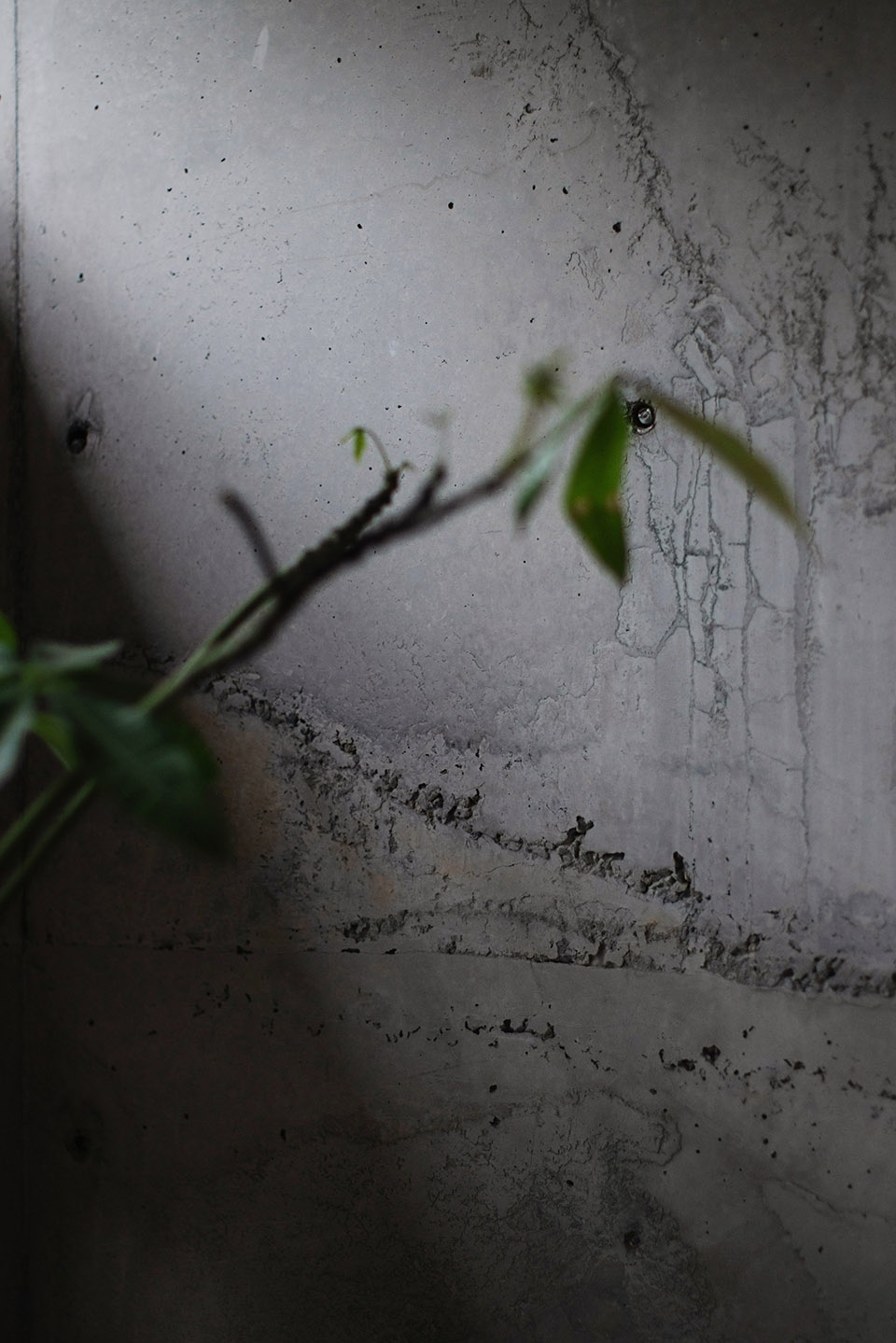 成都 L’ Amore Sette 甜品店丨中国成都丨Geemo Design 治木设计-55