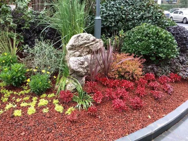 庭院花境中的土壤覆盖物设计与应用-23