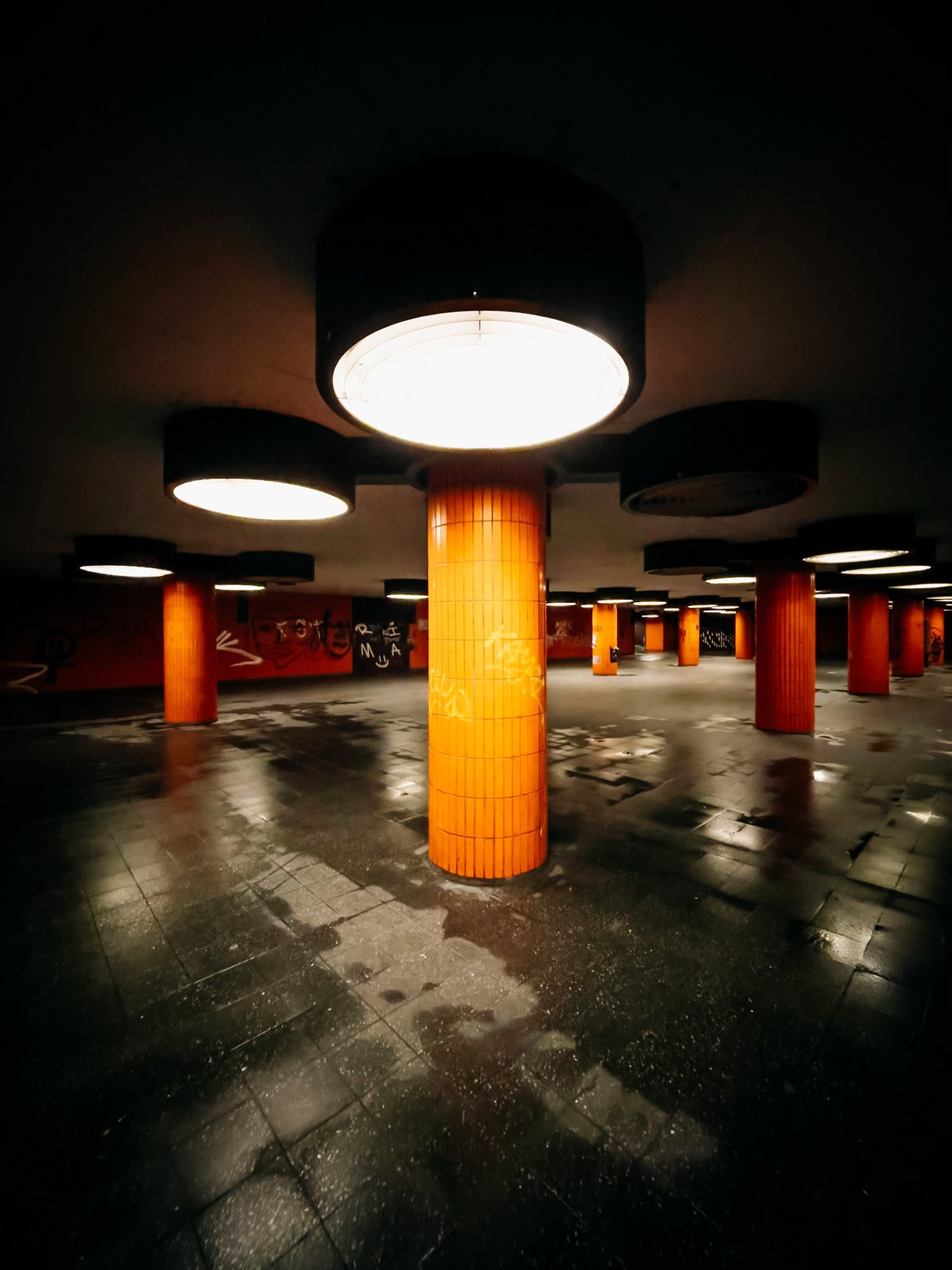 Anastasiya Gushchina丨桥丨XOXOberlin-3