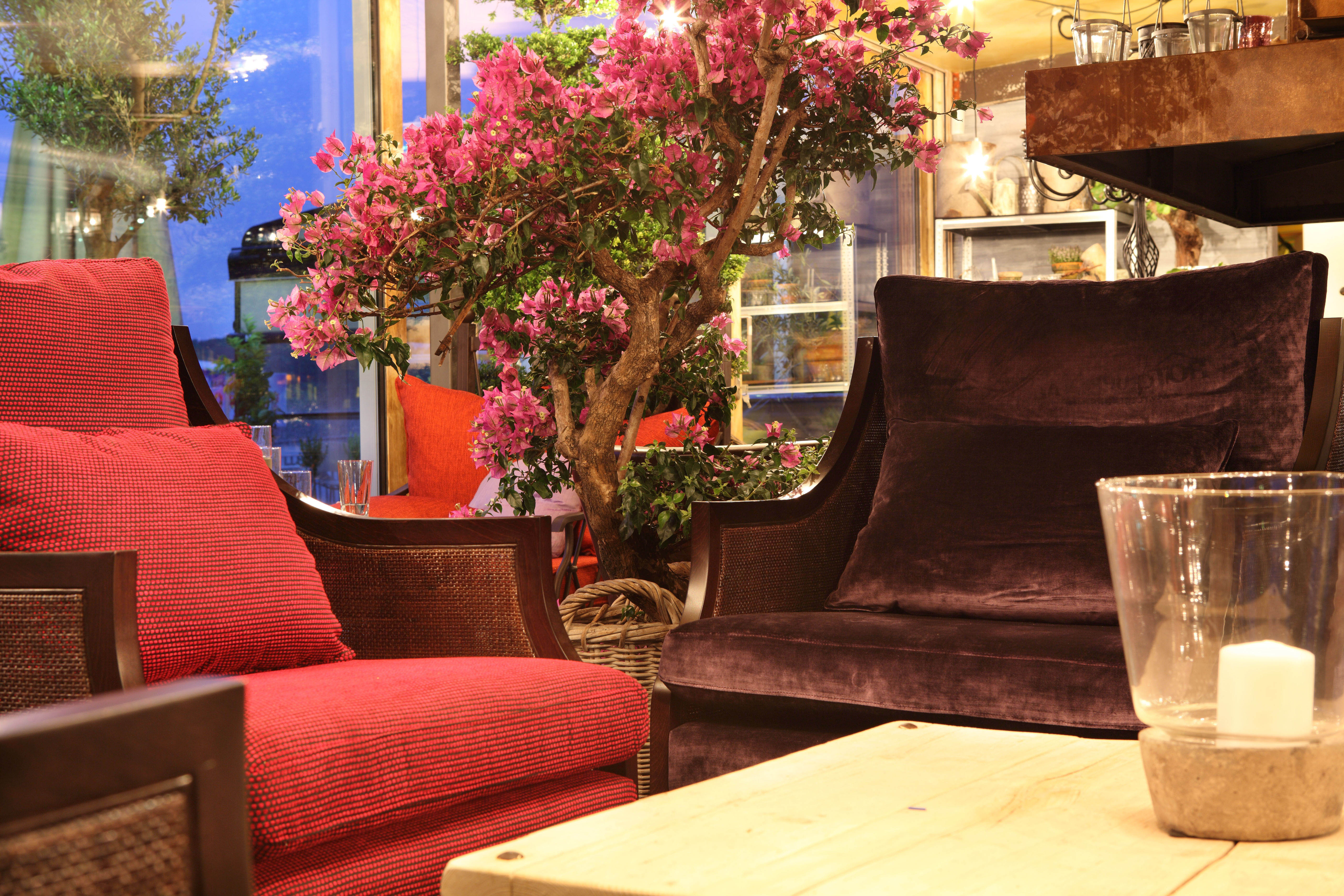 Orangeriet | Stylt Trampoli AB-5