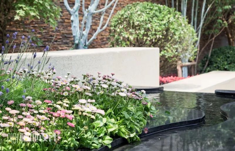 山间仙境,栖地设计的一渡青青小镇-34