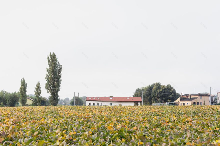 丨意大利丨Marco Turcato-42