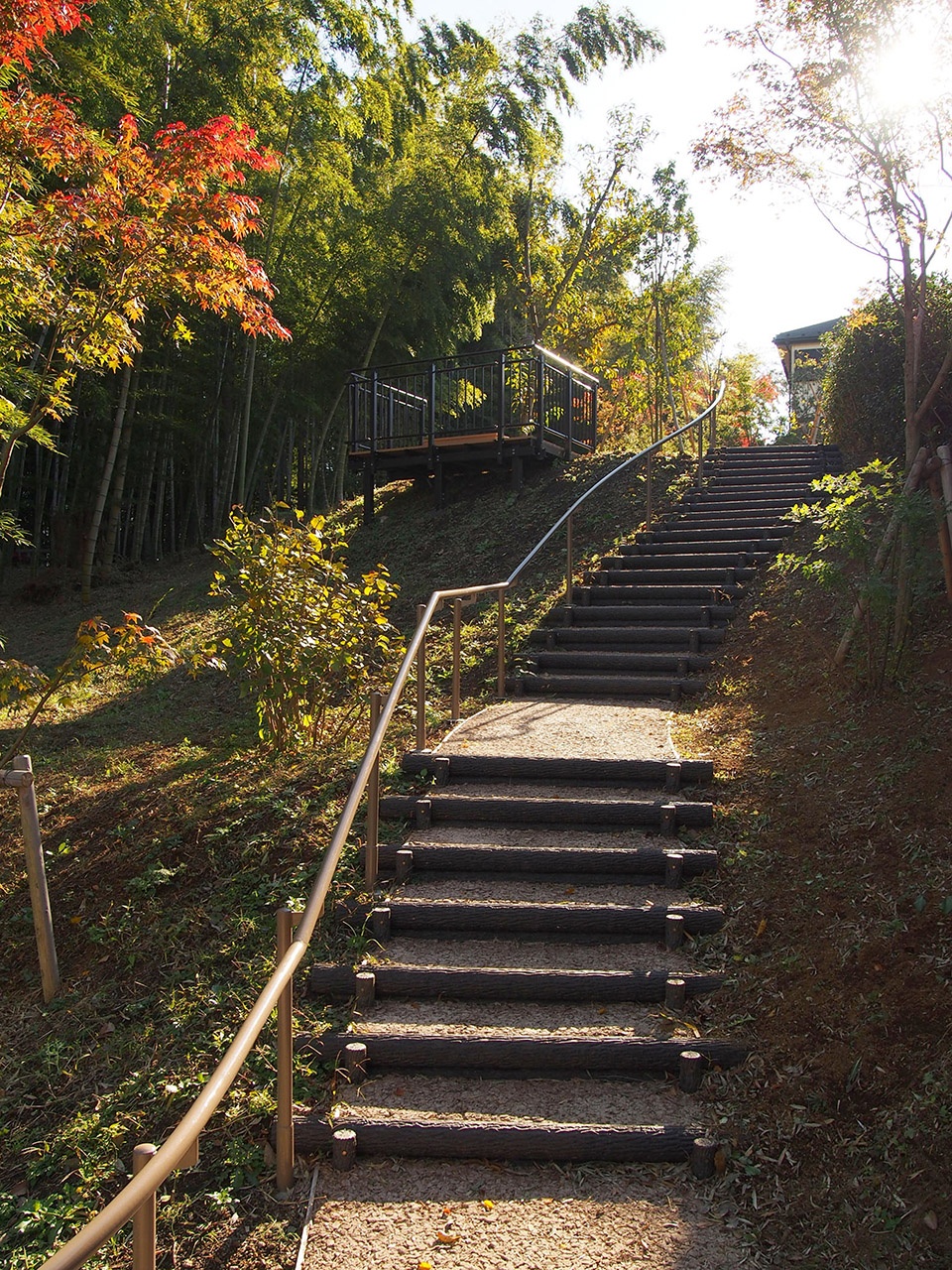 日本横滨南本宿第三公园农园设计丨株式会社户田芳树风景计画-32