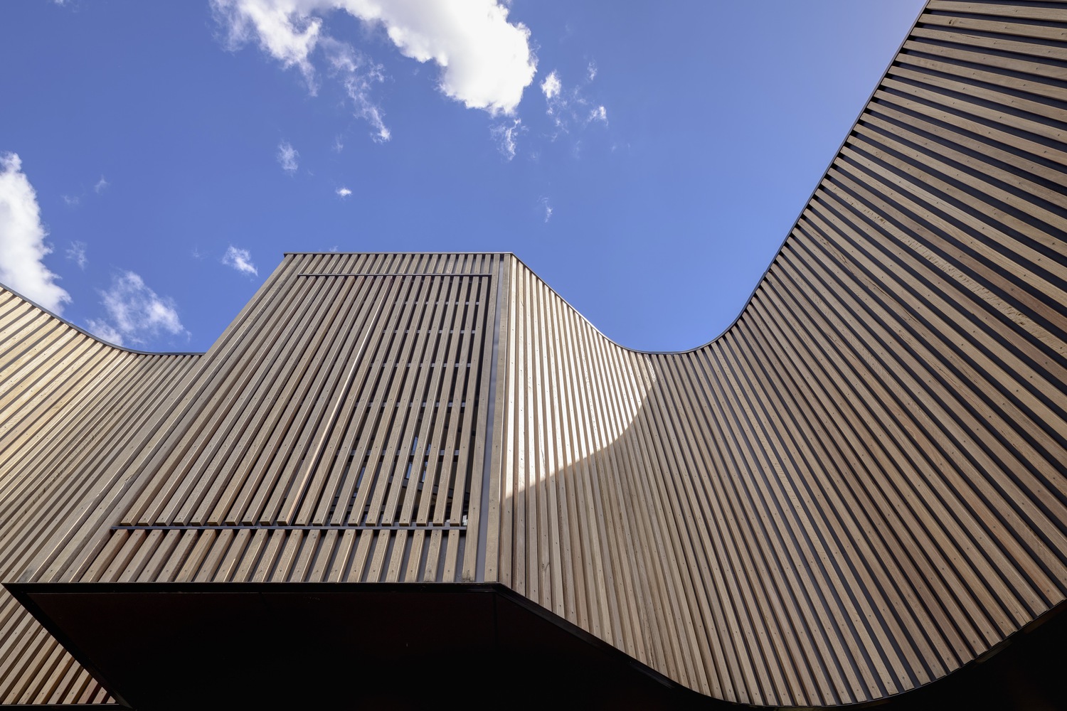 芬恩街住宅丨Australia丨Ben Walker Architects-21