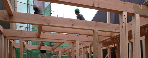 T邸建造工程丨究建筑研究室Q  Labo.-10