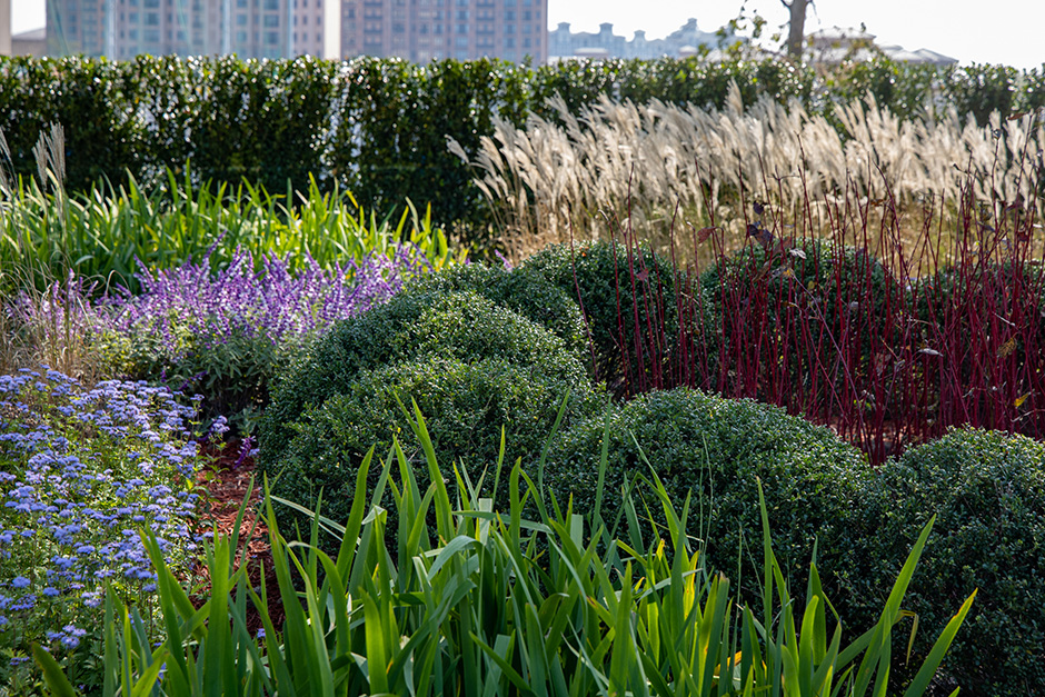 上海天辰生命科技城花香花园丨中国上海丨L&A设计集团上海分公司花香仙境团队及第三项目团队-38