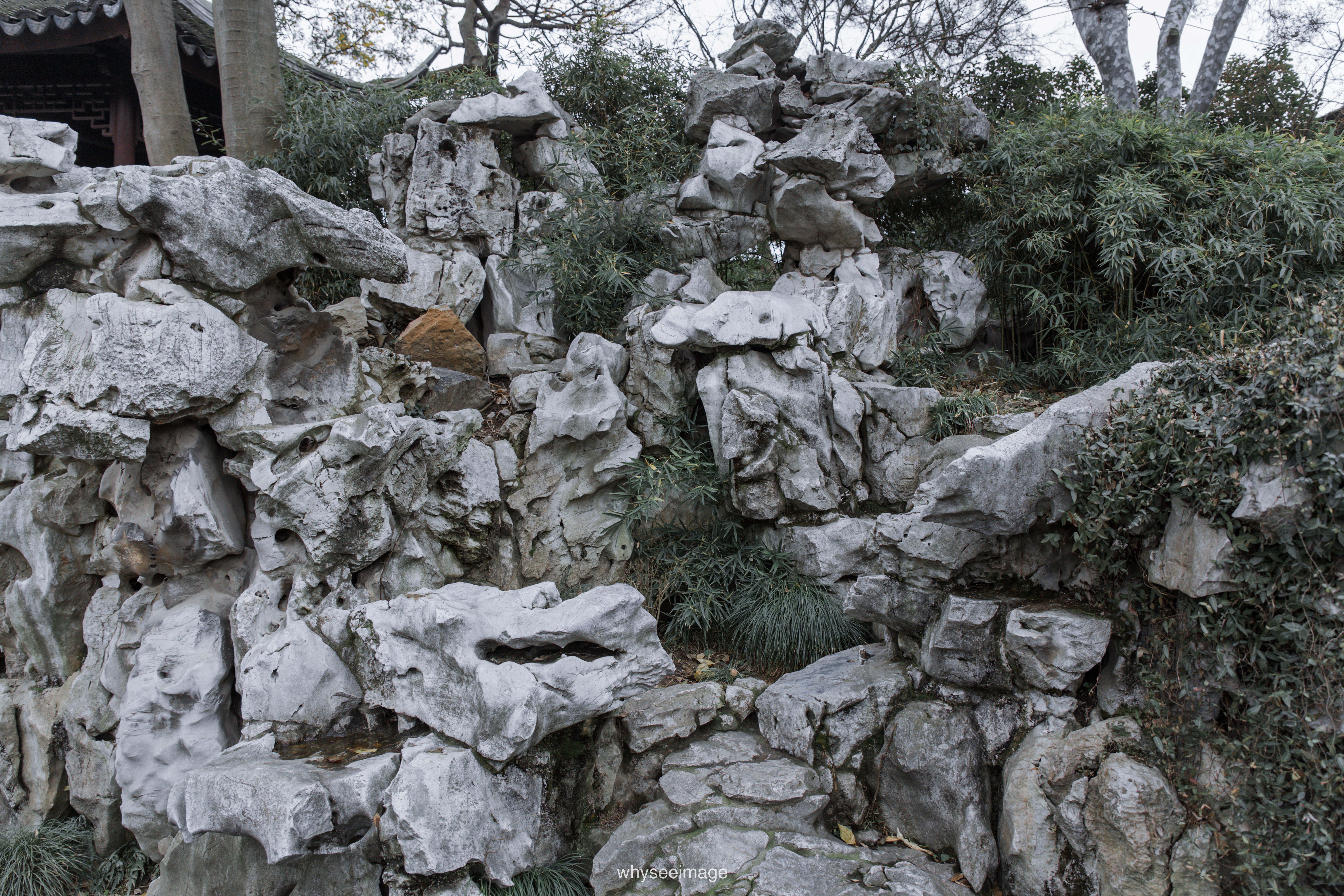 艺圃 Garden of Cultivation丨中国苏州丨whyseeimage-74