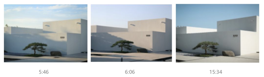 山海关金禧展示区 | 古松奇石，绘就历史画卷-67