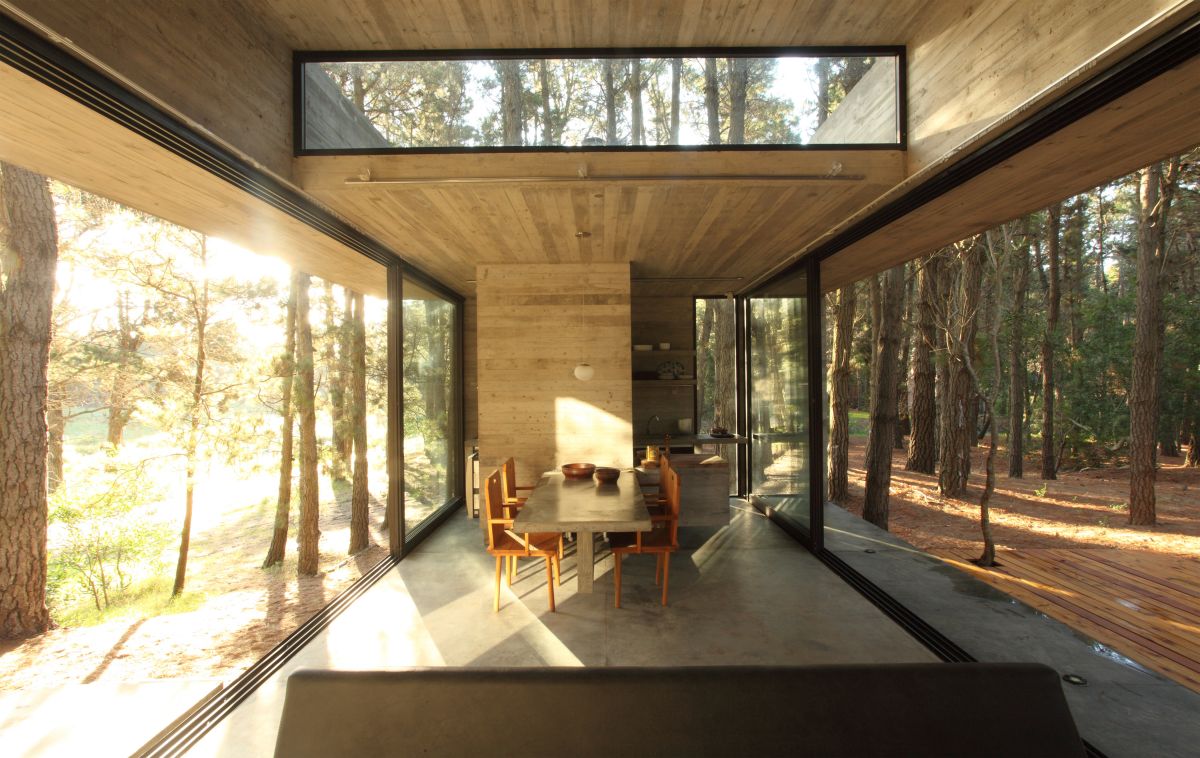 阿根廷森林中的雪儿别墅-16