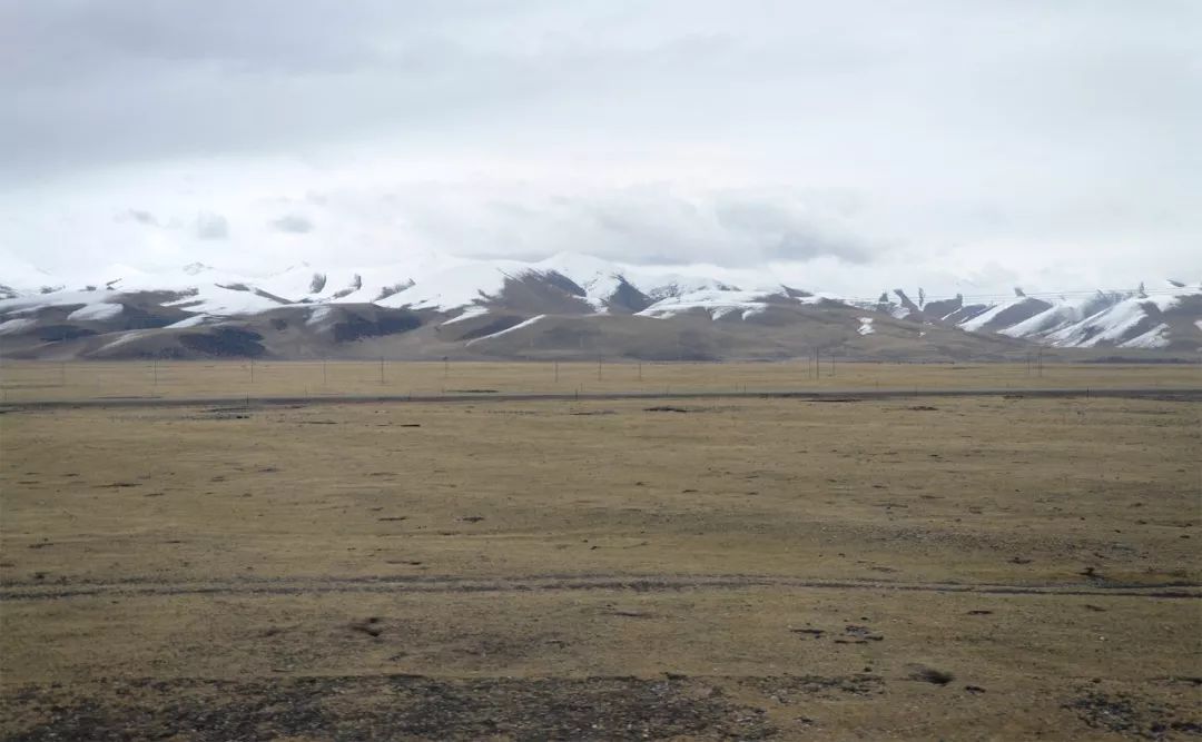 西安-- 甘肃-- 青海-- 西藏-- 云南环游之旅 | 诗和远方的田野-85