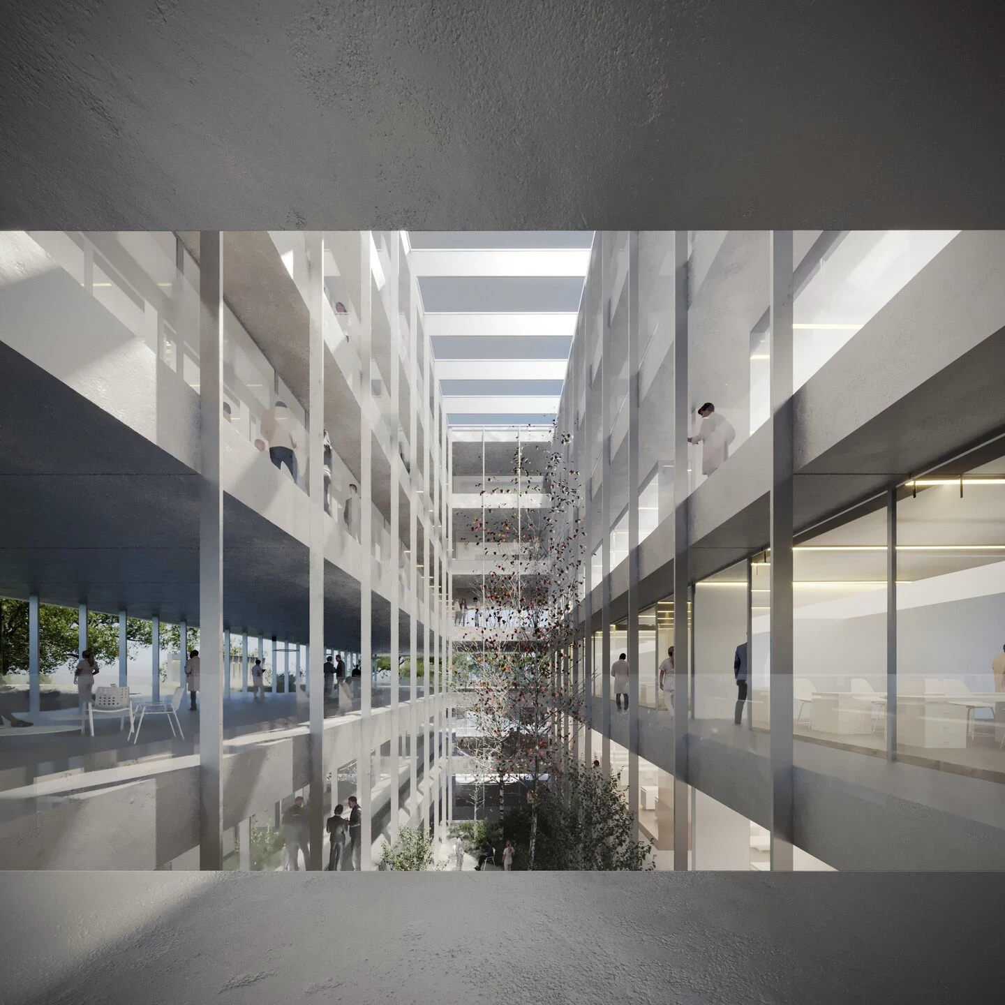 Donostia International Physics Center - DIPC-6