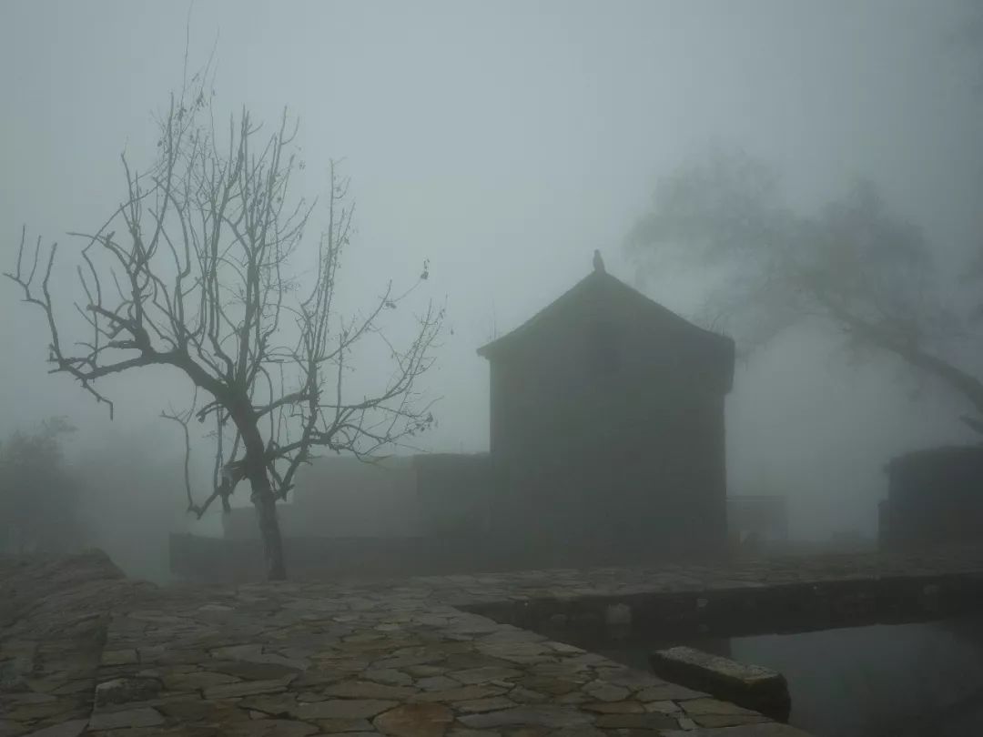 雾中苏红 | 自然、情感与时间的交融-25